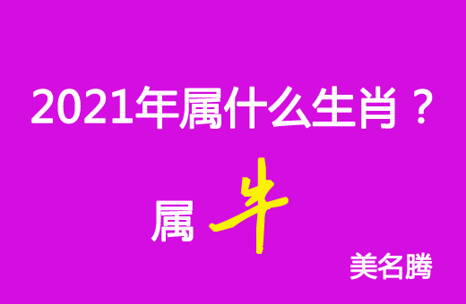 2021年屬什么生肖？2021年屬牛