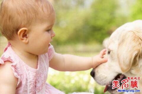 怎么給2019豬年7月女寶寶起個好名字